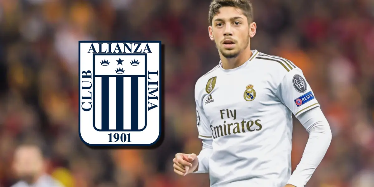 Federico Valverde es un volante uruguayo que juega en el Real Madrid de España